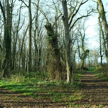 Hotel Chateau De Briancon, The Originals Relais