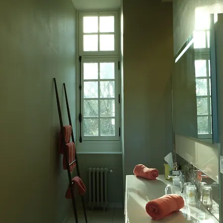 Hotel Chateau De Briancon, The Originals Relais 3*