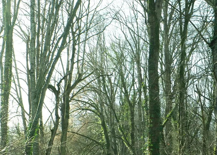 Chateau De Briancon, The Originals Relais 3*