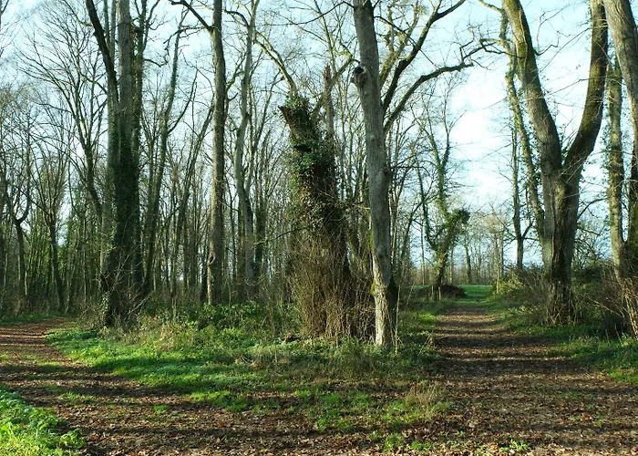 Hotell Chateau De Briancon, The Originals Relais