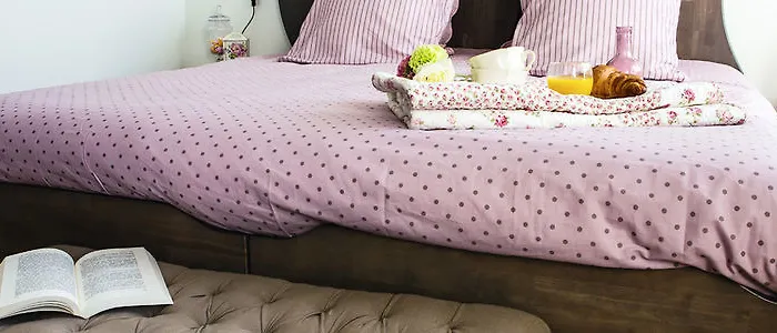 Hotel Chateau De Briancon 3*